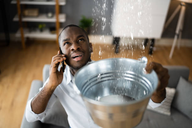 Trusted Grenada, MS Water damage restoration Experts
