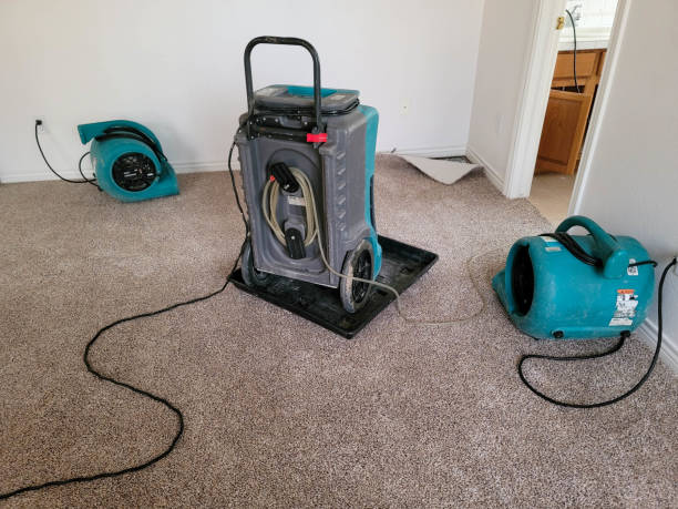 Best Fire Damage Restoration  in Grenada, MS