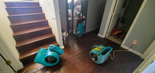 Best Flooded house restoration  in Grenada, MS