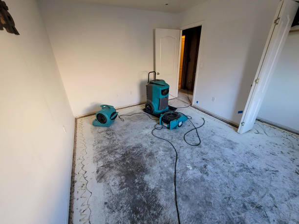 Best Water damage repair service  in Grenada, MS