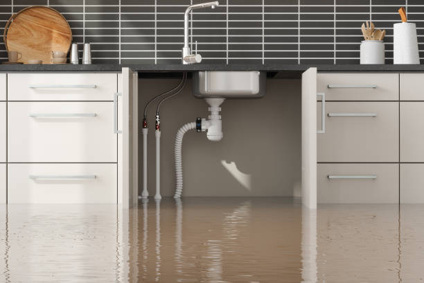 Best Fire Damage Restoration  in Grenada, MS
