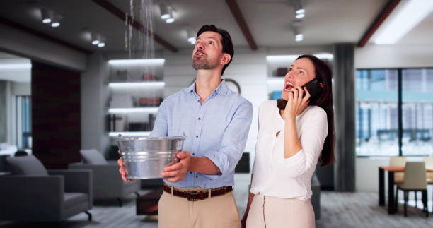 Best Water damage restoration near me  in Grenada, MS