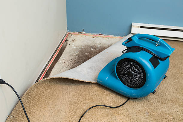 Carpet water damage restoration in Grenada, MS